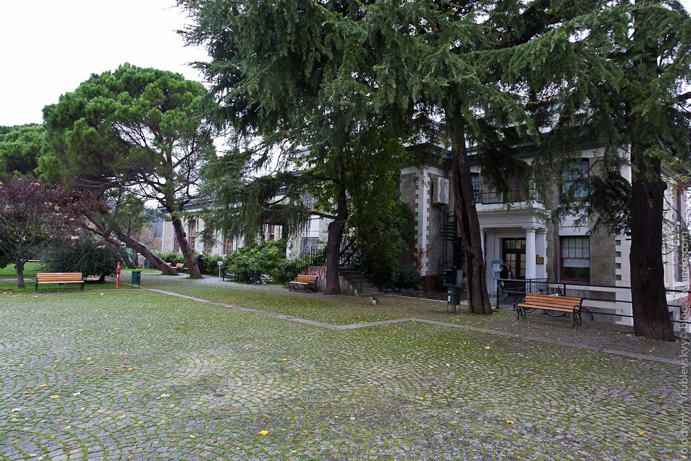  Bogazici university в Стамбулі